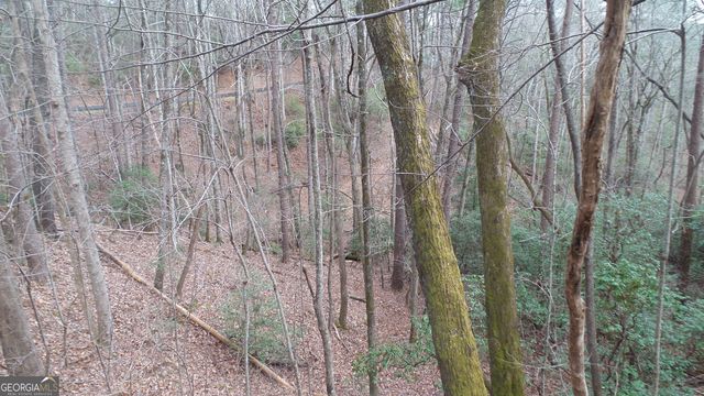 0 Bahn Innsbruck, Helen, GA 30545