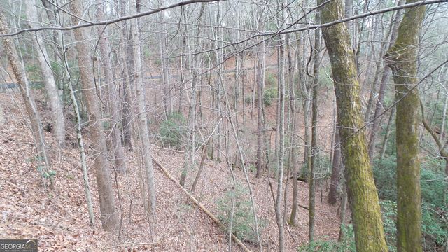 0 Bahn Innsbruck, Helen, GA 30545