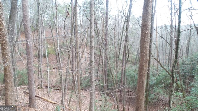 0 Bahn Innsbruck, Helen, GA 30545