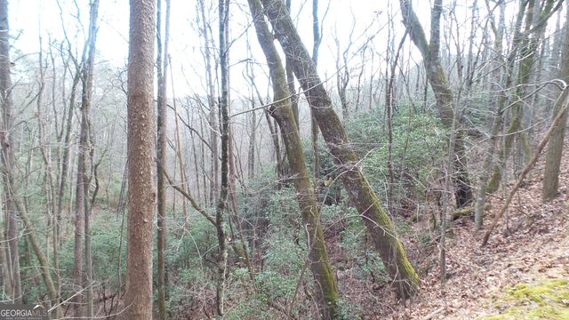 0 Bahn Innsbruck, Helen, GA 30545