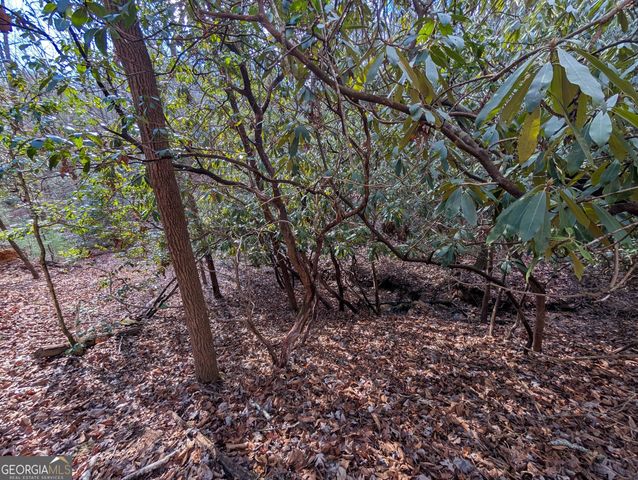 0 Bahn Innsbruck, Helen, GA 30545