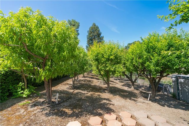 1655 Barley Grain, Paso Robles, CA 93446