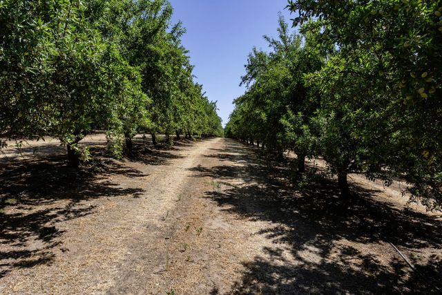 11012 Olive Rd, Oakdale, CA 95361