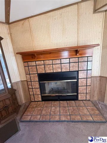 1545 Poplar Branch Ln, Hartsville, SC 29550