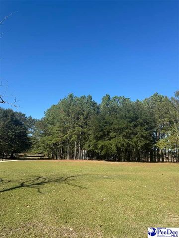 1545 Poplar Branch Ln, Hartsville, SC 29550