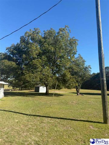 1545 Poplar Branch Ln, Hartsville, SC 29550