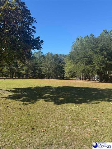 1545 Poplar Branch Ln, Hartsville, SC 29550