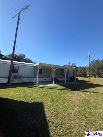 1545 Poplar Branch Ln, Hartsville, SC 29550