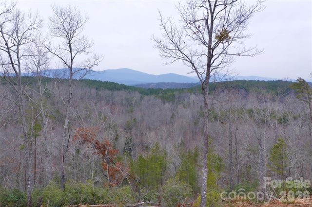 1140 Hwy 9 Highway, Mill Spring, NC 28756