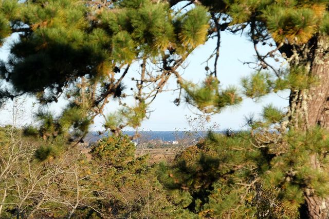 50 John Hall Cartway, Yarmouth Port, MA 02675