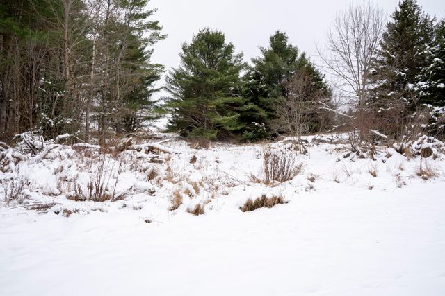 2969 Silver Lake Road, Saranac, NY 12981