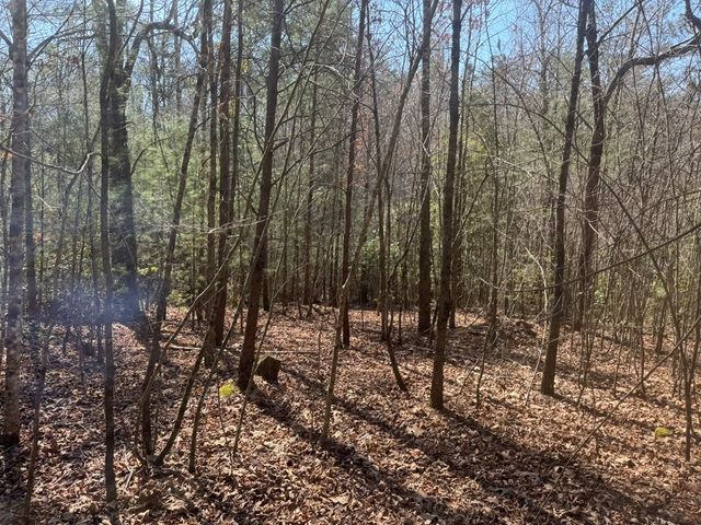 00 Blue Ridge Heights Drive, Hayesville, NC 28904