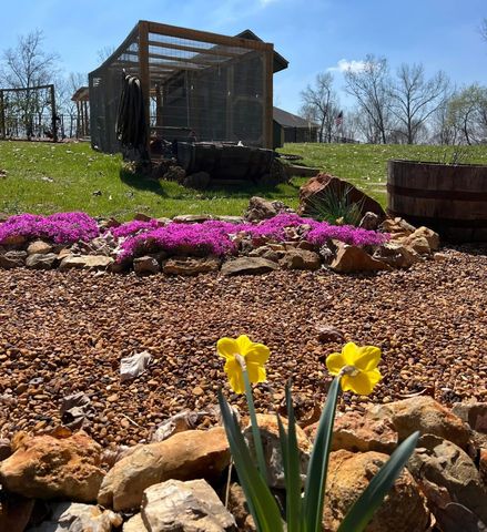 2675 Mockingbird Hill Rd, Palmyra, TN 37142