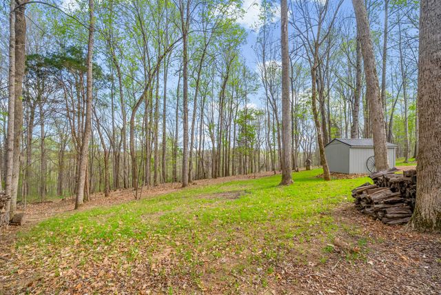 2675 Mockingbird Hill Rd, Palmyra, TN 37142