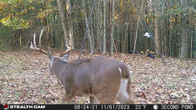 2130 Carlton Road, Hollister, MO 65672