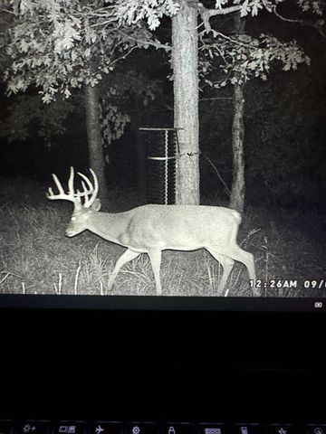 2130 Carlton Road, Hollister, MO 65672