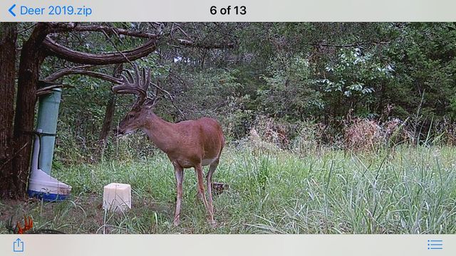 2130 Carlton Road, Hollister, MO 65672