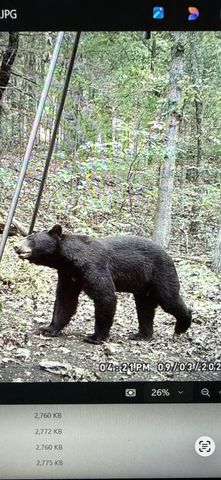 2130 Carlton Road, Hollister, MO 65672