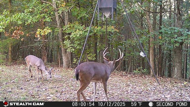 2130 Carlton Road, Hollister, MO 65672