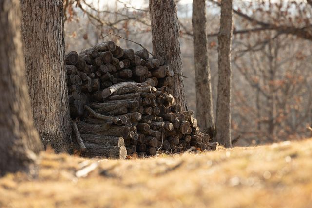 2130 Carlton Road, Hollister, MO 65672