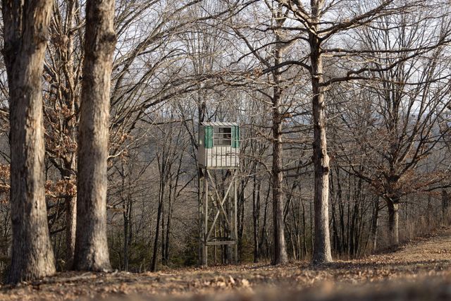 2130 Carlton Road, Hollister, MO 65672