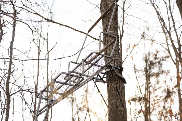 2130 Carlton Road, Hollister, MO 65672