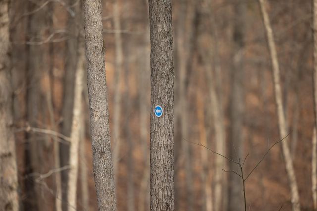 2130 Carlton Road, Hollister, MO 65672