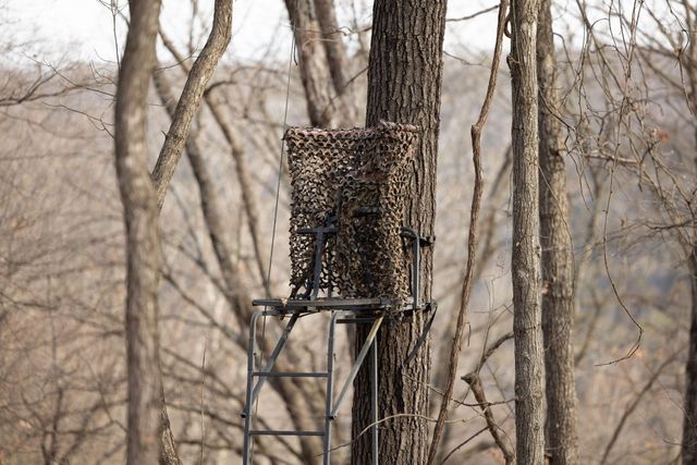 2130 Carlton Road, Hollister, MO 65672