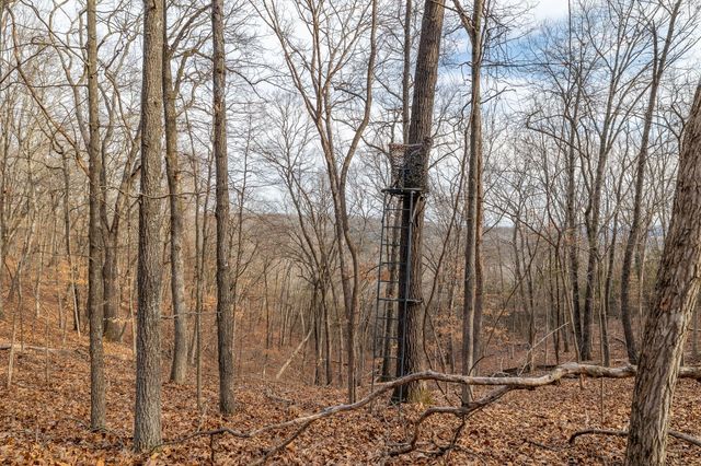 2130 Carlton Road, Hollister, MO 65672