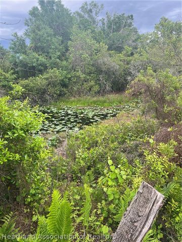 121 Williams Road, Lake Placid, FL 33852