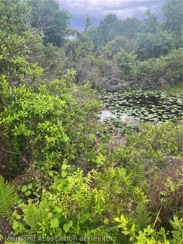 121 Williams Road, Lake Placid, FL 33852