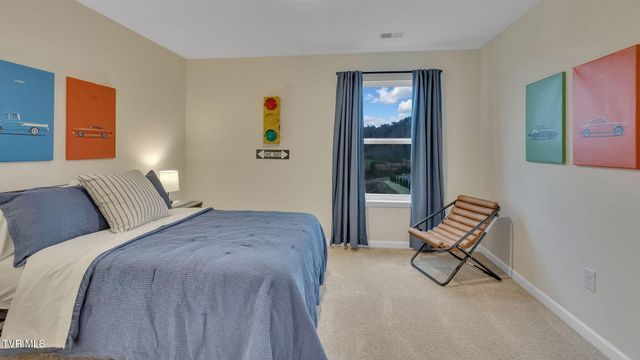 7 Morsel Court, Johnson City, TN 37615