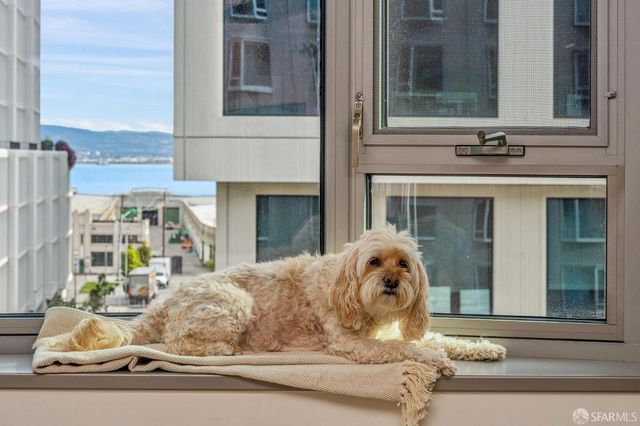 1000 3rd Street 720, San Francisco, CA 94158