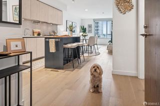 1000 3rd Street 720, San Francisco, CA 94158