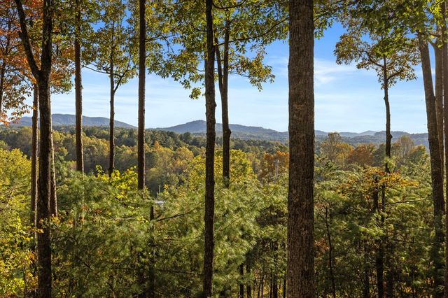 5240 Squirrel Hunting Road, Morganton, GA 30560