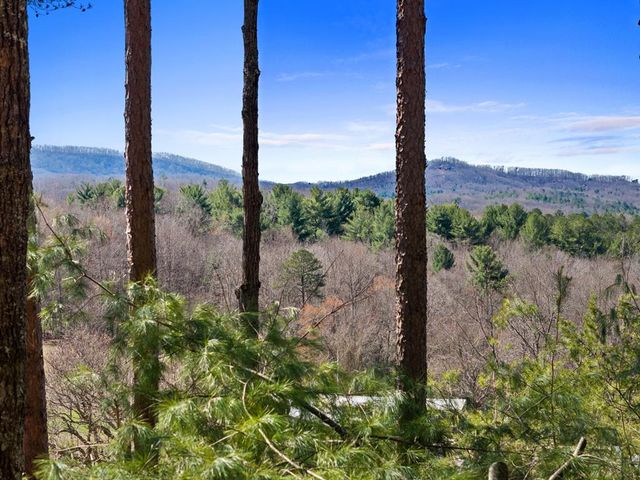 5240 Squirrel Hunting Road, Morganton, GA 30560