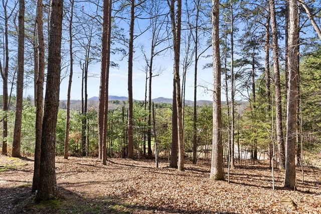 5240 Squirrel Hunting Road, Morganton, GA 30560