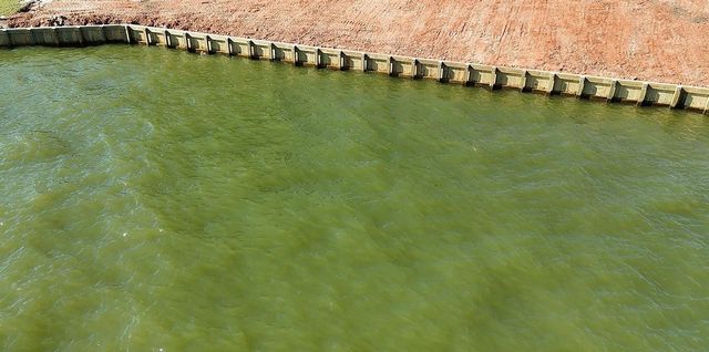 225 Peninsula Drive, Livingston, TX 77351