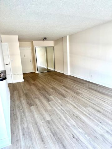 2000 Atlantic Shores Blvd 209, Hallandale Beach, FL 33009