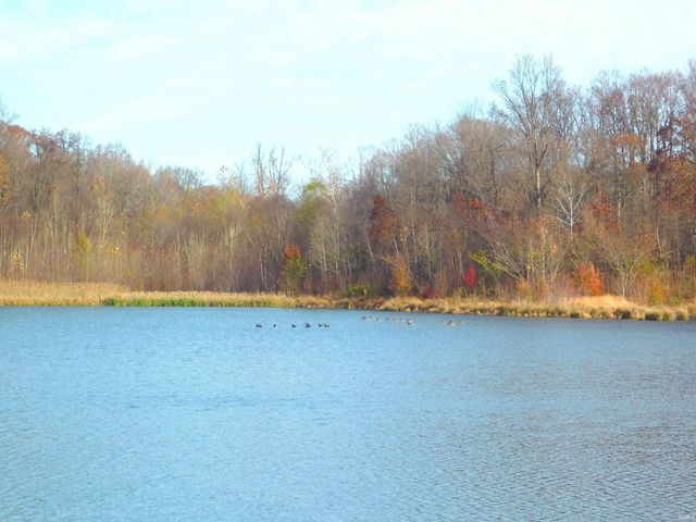 160 N DEER RUN Lane, Winslow, IN 47598