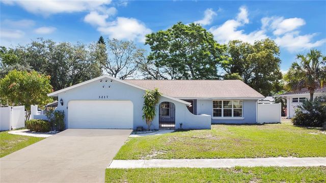 3217 CASTLE OAK AVENUE, Orlando, FL 32808