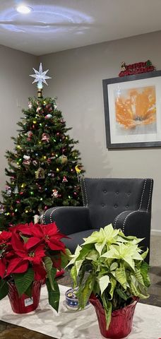 825 Pearson Street 3D, Des Plaines, IL 60016