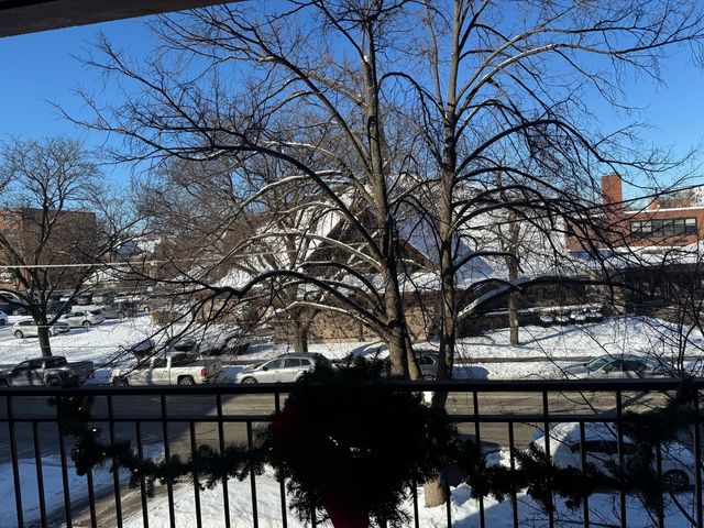 825 Pearson Street 3D, Des Plaines, IL 60016