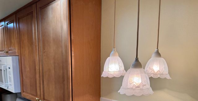 825 Pearson Street 3D, Des Plaines, IL 60016