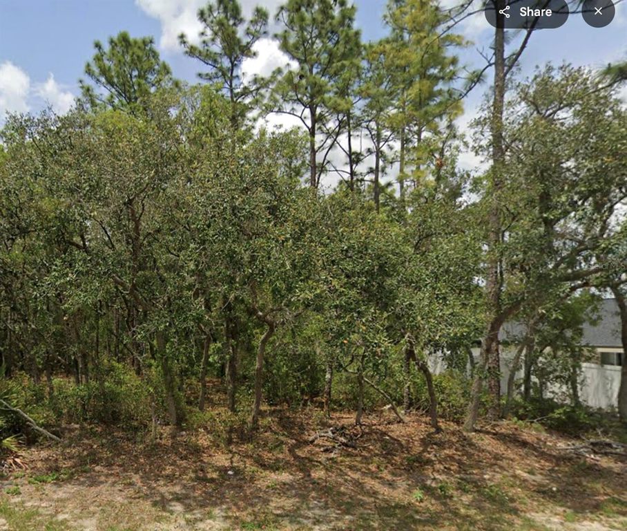 Lot 2 SW 144TH LANE, Ocala, FL 34473