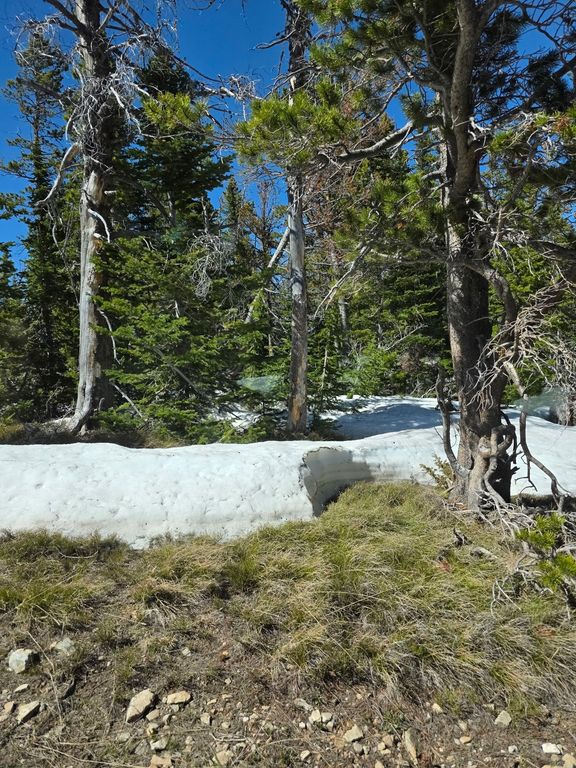 NHN Cyclone, White Sulphur Springs, MT 59645 photo 6