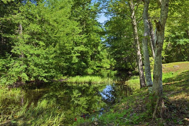 56 Shepard Home Road, Chester, NH 03036