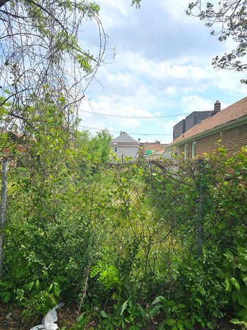 2029 W 17th Street, Chicago, IL 60608