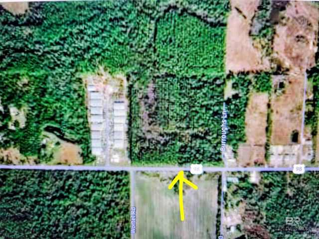290?? US Highway 98, Elberta, AL 36530