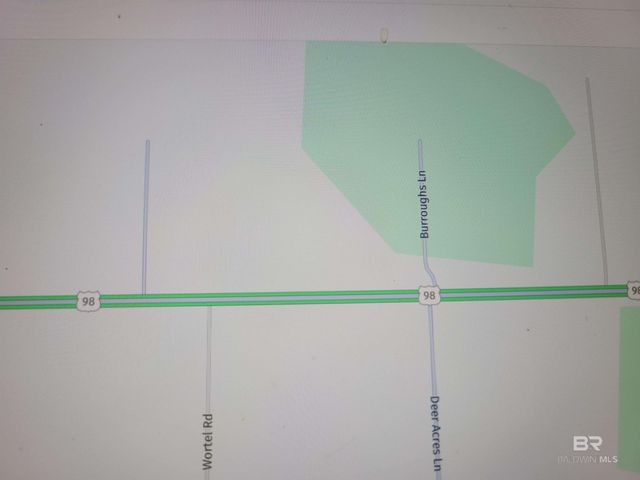 290?? US Highway 98, Elberta, AL 36530